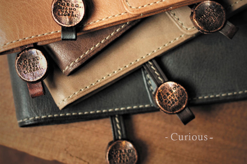 top_main_curious021_bn.jpg