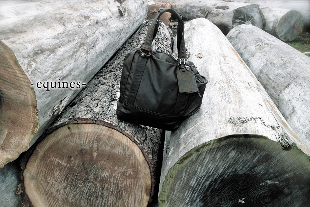 top_main_equines020_bn.jpg